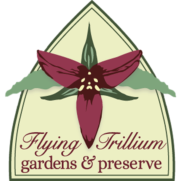 Flying trillium logo icon